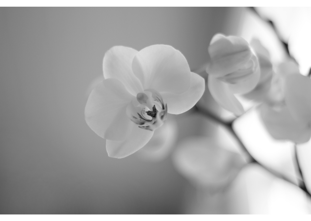 BEAUTY GIFTS FOR MEN